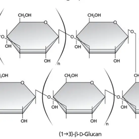 (1,3) Beta-D-Glucan (BDG)